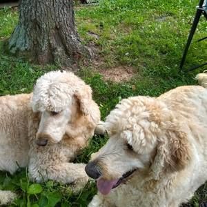 Meet your Posher, Willie